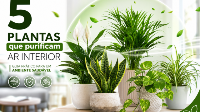 5 plantas que purificam ar interior: guia prático para um ambiente saudável